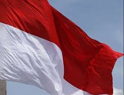 عاصمة إندونيسيا الجديدة